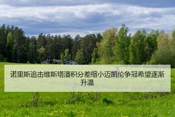 诺里斯追击维斯塔潘积分差缩小迈凯伦争冠希望逐渐升温