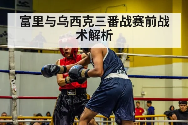 富里与乌西克三番战赛前战术解析