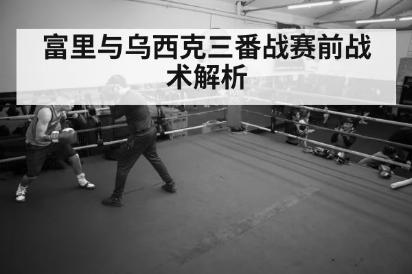 boxer training gym