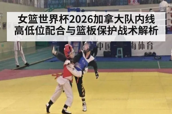 女篮世界杯2026加拿大队内线高低位配合与篮板保护战术解析