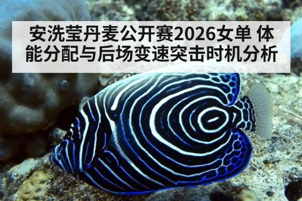 安洗莹丹麦公开赛2026女单 体能分配与后场变速突击时机分析