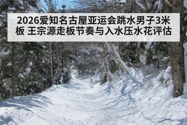 2026爱知名古屋亚运会跳水男子3米板 王宗源走板节奏与入水压水花评估